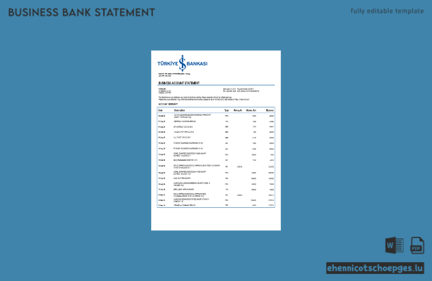 Türkische Bankasi-Unternehmenserklärung: Beispiel-Word- und PDF-Datei (Vorschau)